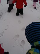 Výprava do zimního lesa